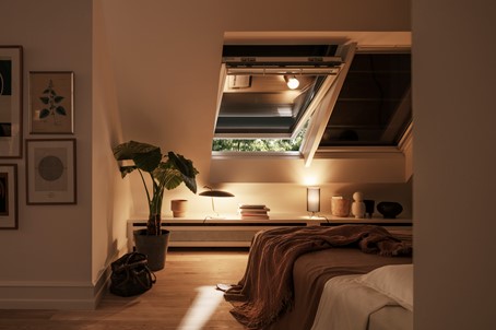 velux4